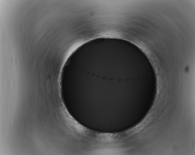X0000089351248200706221132