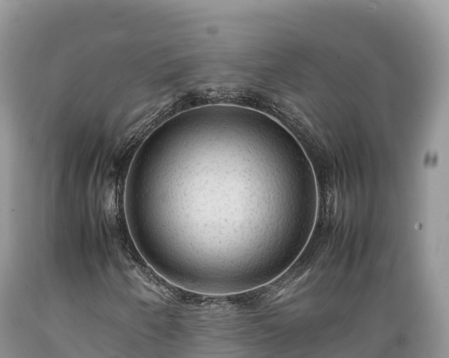 X0000089351250200706221131