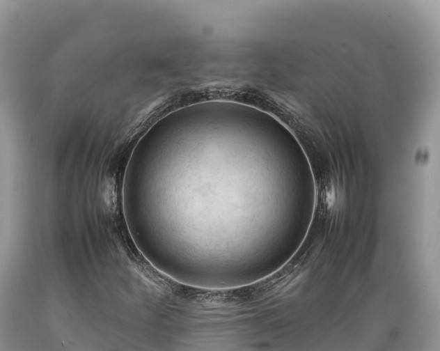X0000089351252200706221131