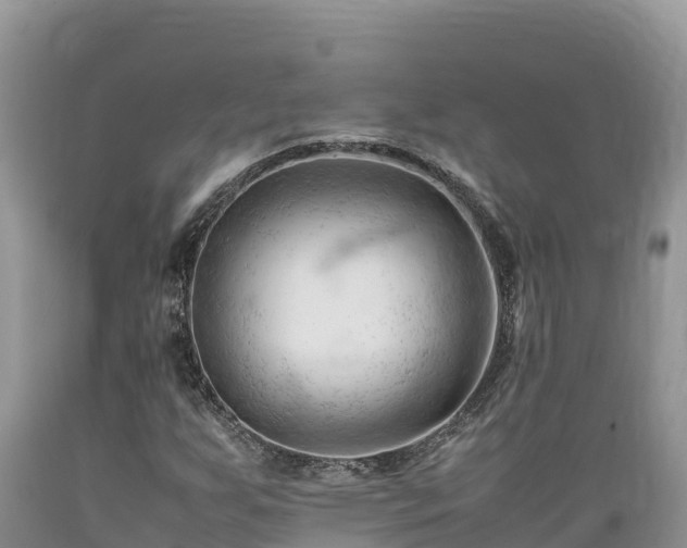 X0000089351255200706221131