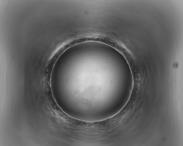 X0000089351256200706221131