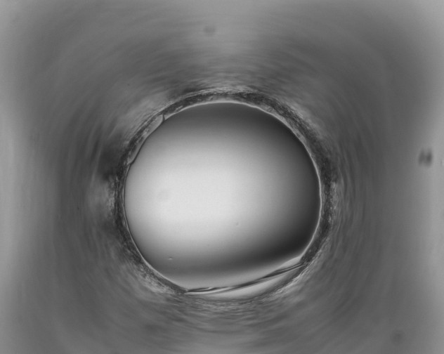 X0000089351257200706221131