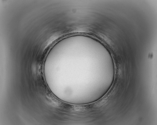 X0000089351258200706221131