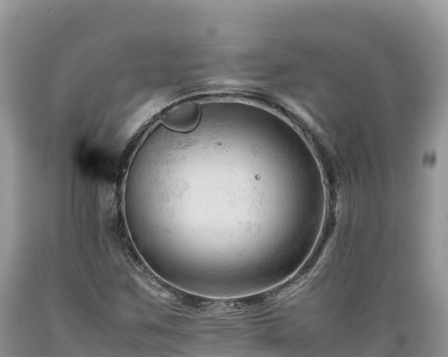 X0000089351259200706221131