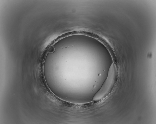 X0000089351263200706221131