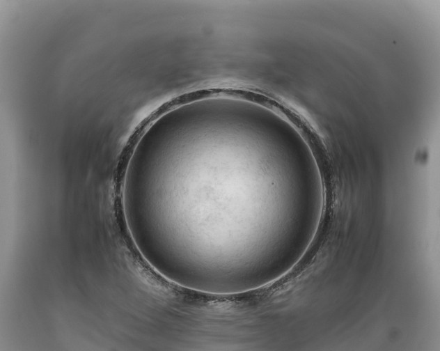 X0000089351264200706221131
