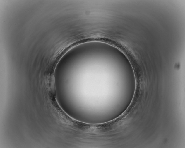X0000089351265200706221131