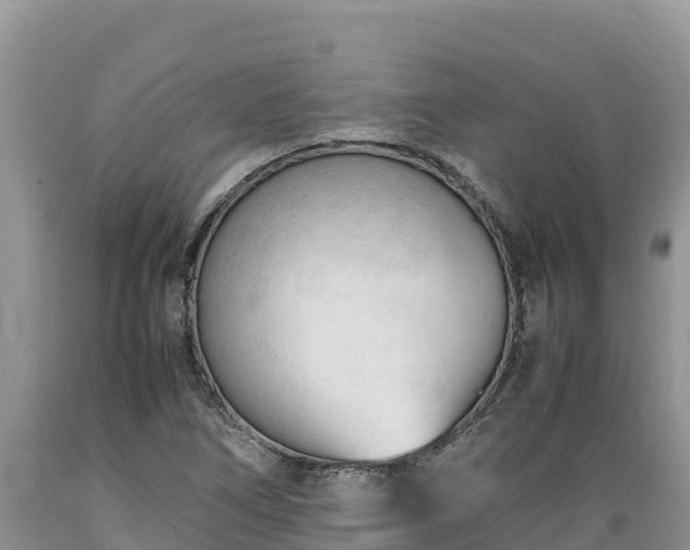 X0000089351266200706221131