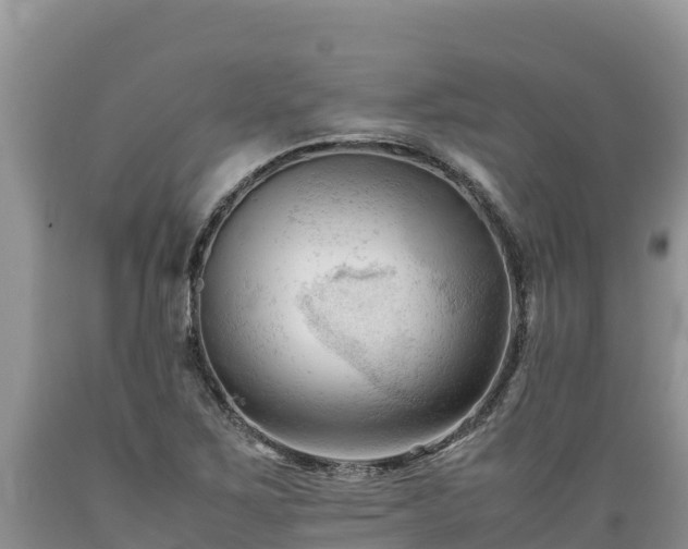 X0000089351267200706221131