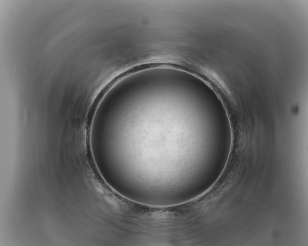 X0000089351268200706221131