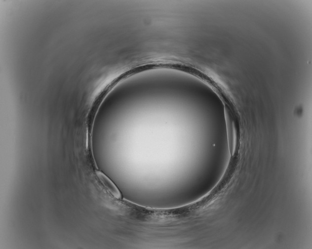 X0000089351269200706221131
