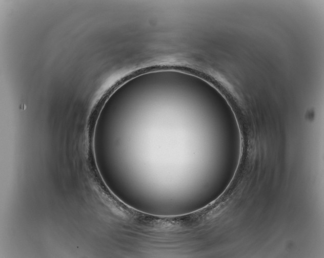 X0000089351270200706221131