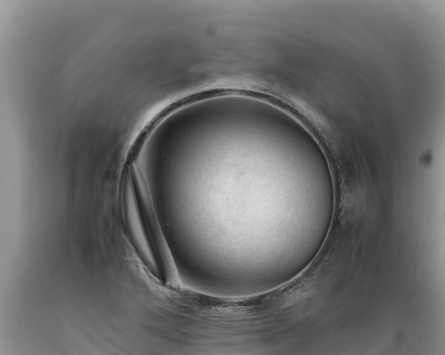 X0000089351272200706221131