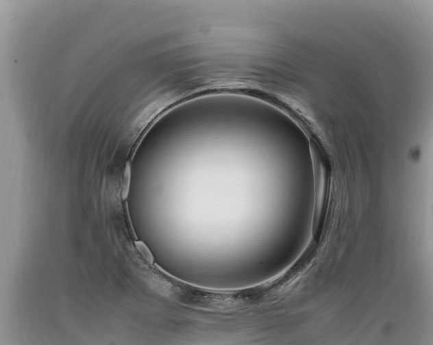 X0000089351273200706221131