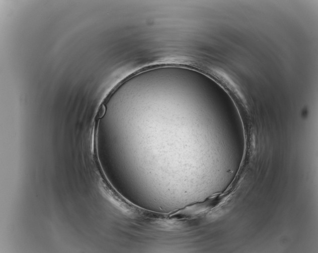 X0000089351276200706221131
