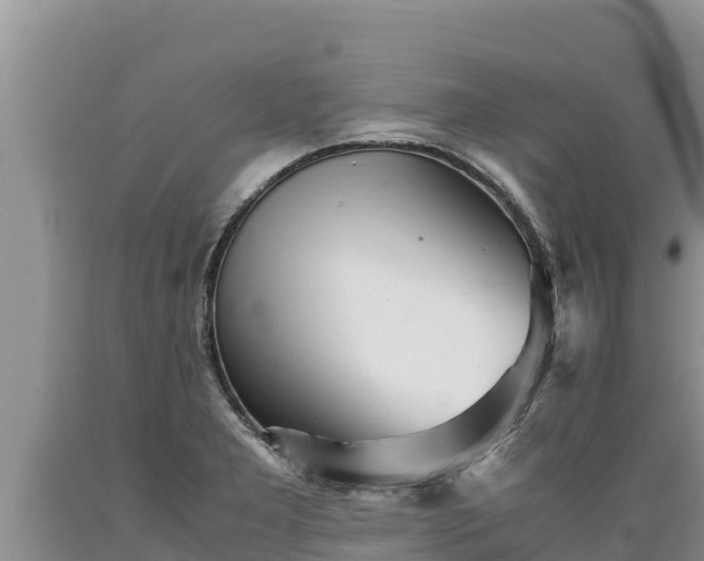 X0000089351277200706221131