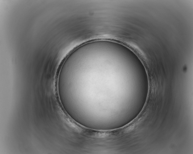 X0000089351278200706221131