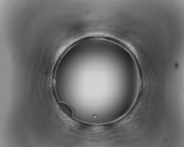 X0000089351279200706221131