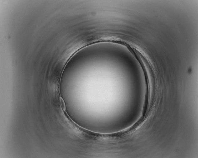 X0000089351281200706221131
