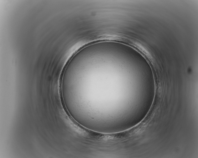 X0000089351283200706221130