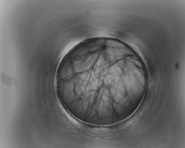 X0000089351285200706221130
