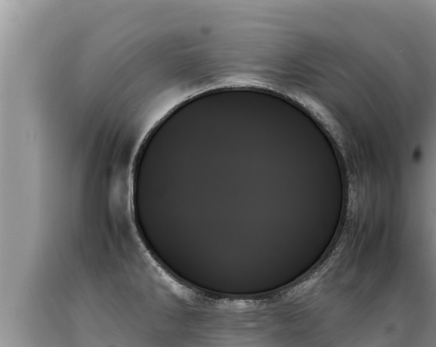 X0000089351286200706221130