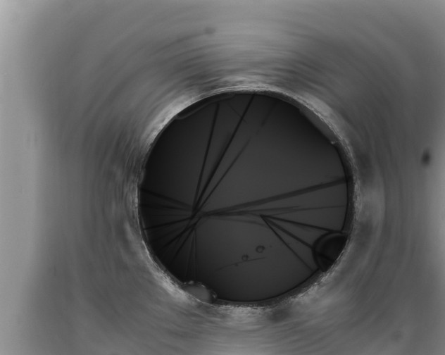 X0000089351289200706221130