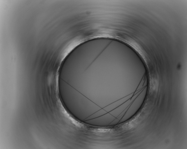 X0000089351290200706221130