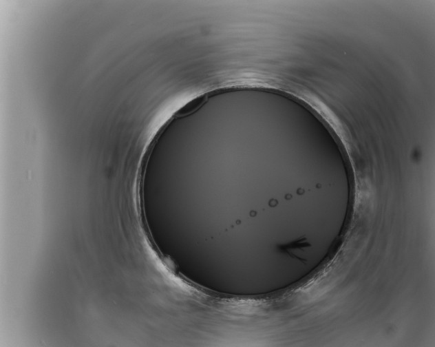 X0000089351293200706221130