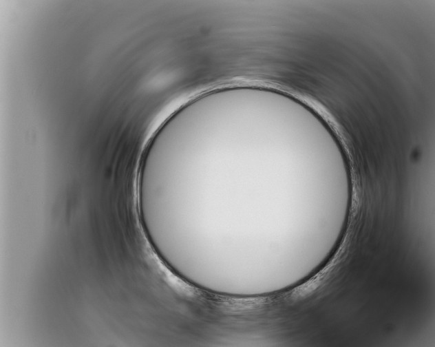 X0000089351294200706221130