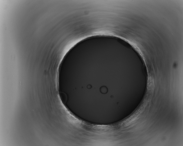 X0000089351295200706221130