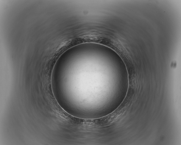 X0000089351297200706221130