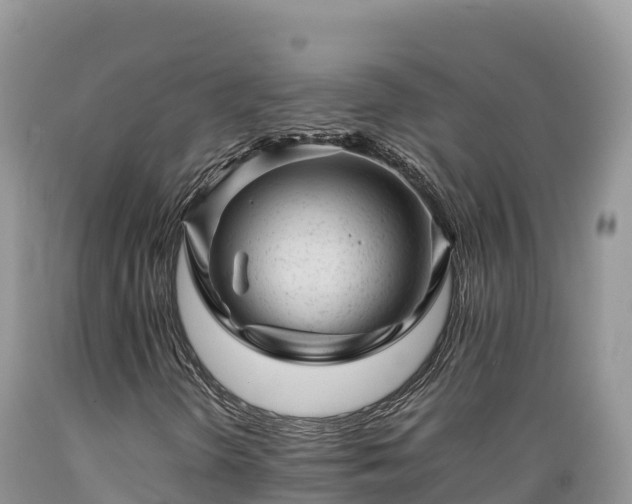 X0000089351298200706221130