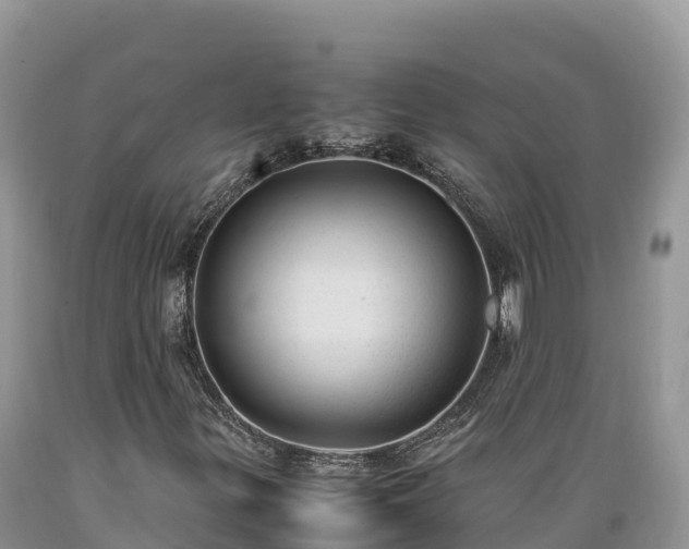 X0000089351299200706221130