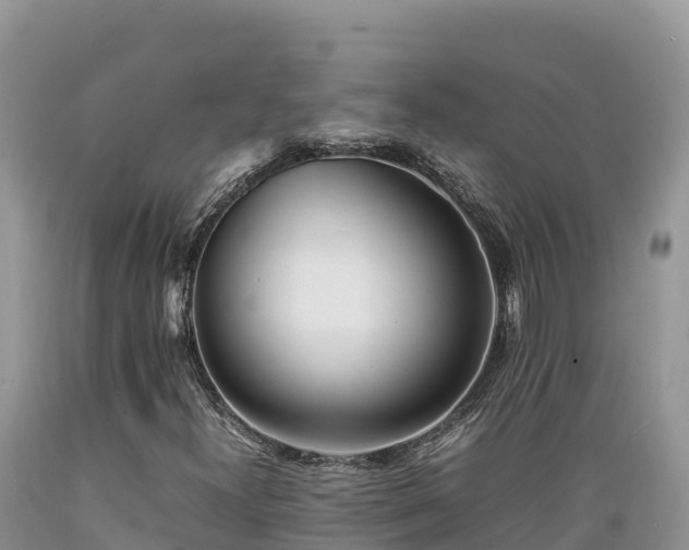 X0000089351300200706221130