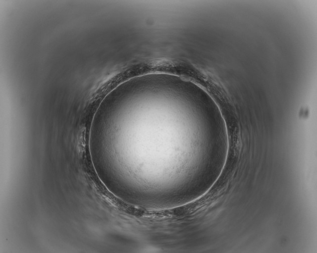 X0000089351301200706221130