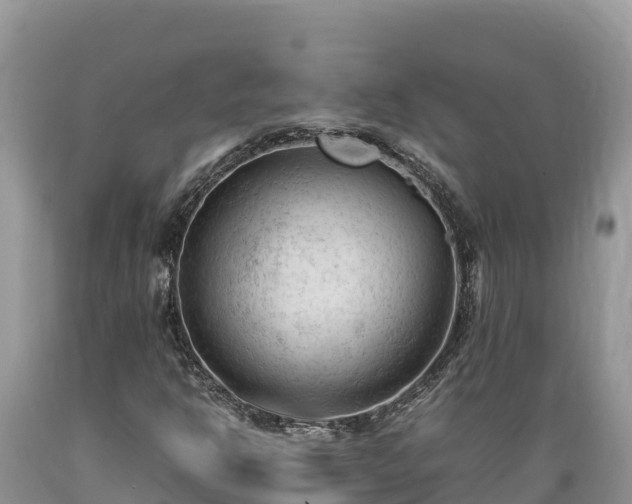 X0000089351302200706221130