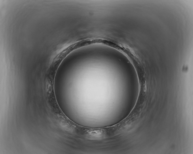 X0000089351303200706221130