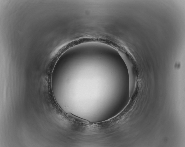 X0000089351304200706221130