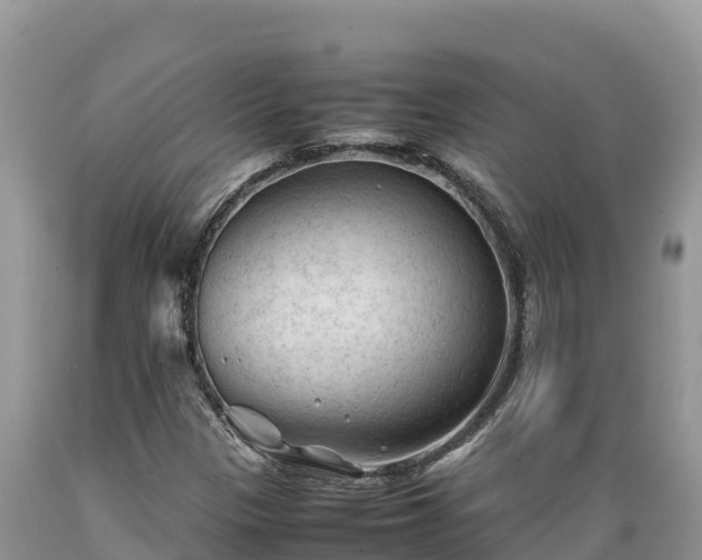 X0000089351305200706221130