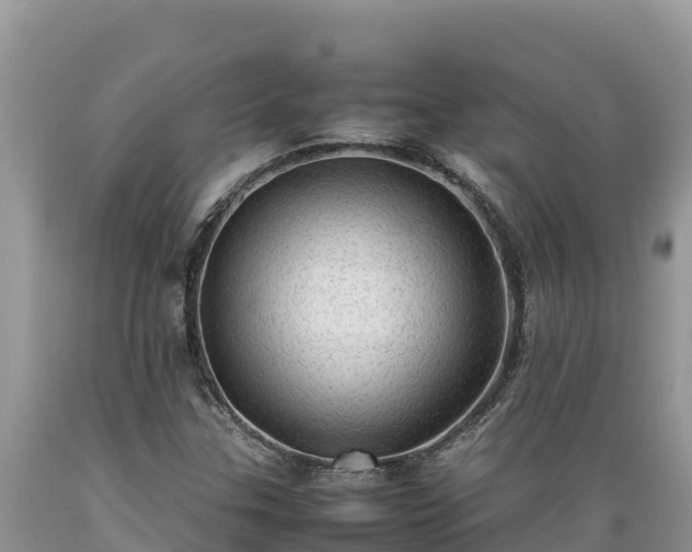 X0000089351307200706221130