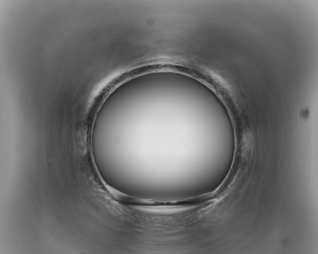X0000089351310200706221130