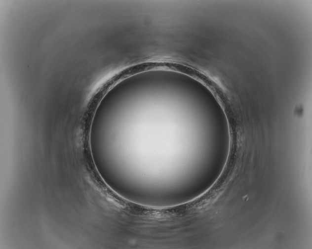 X0000089351311200706221130