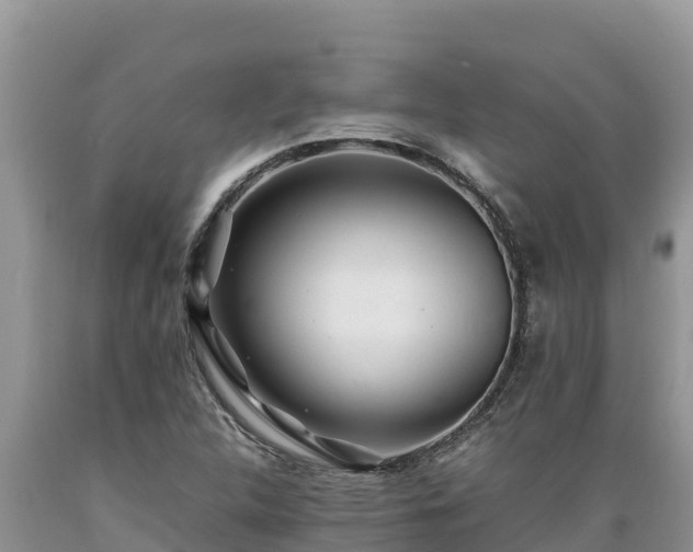 X0000089351312200706221130