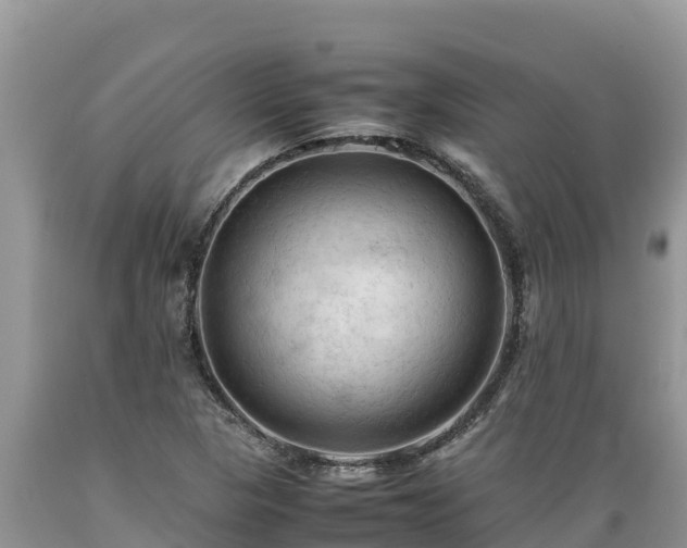 X0000089351313200706221130