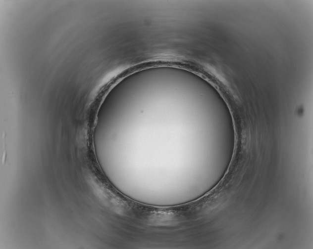 X0000089351315200706221130