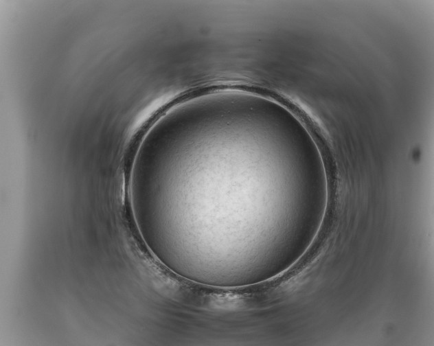 X0000089351317200706221130