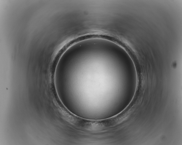 X0000089351318200706221130