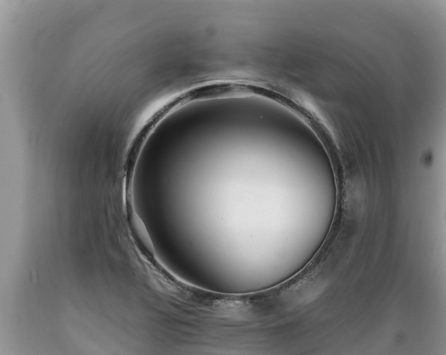 X0000089351320200706221130