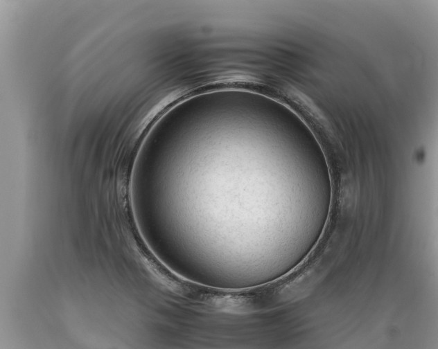 X0000089351321200706221130
